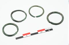 Foto von Bronzering (NHMW-PRAE-025343)